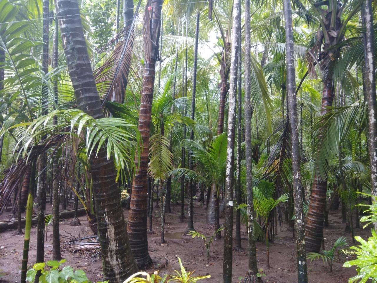 Nivaant @ Vicharays Homestay Alibag